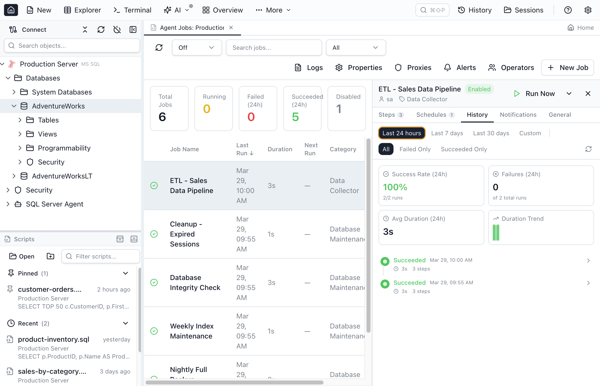 Job history timeline showing execution runs with success/failure status, duration, and expandable step details