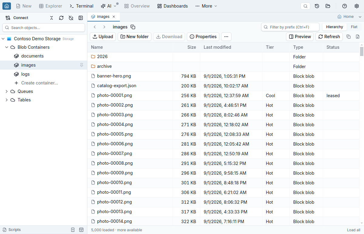 The storage browser tab on the images container listing two virtual folders above block blobs with their size, last modified time, tier, type and lease status, with the breadcrumb, prefix filter and Hierarchy/Flat switch on the first toolbar row, Upload, New folder, Download, Properties and the … menu on the second, and a status bar reading 5,000 loaded, more available, with a Load all button.
