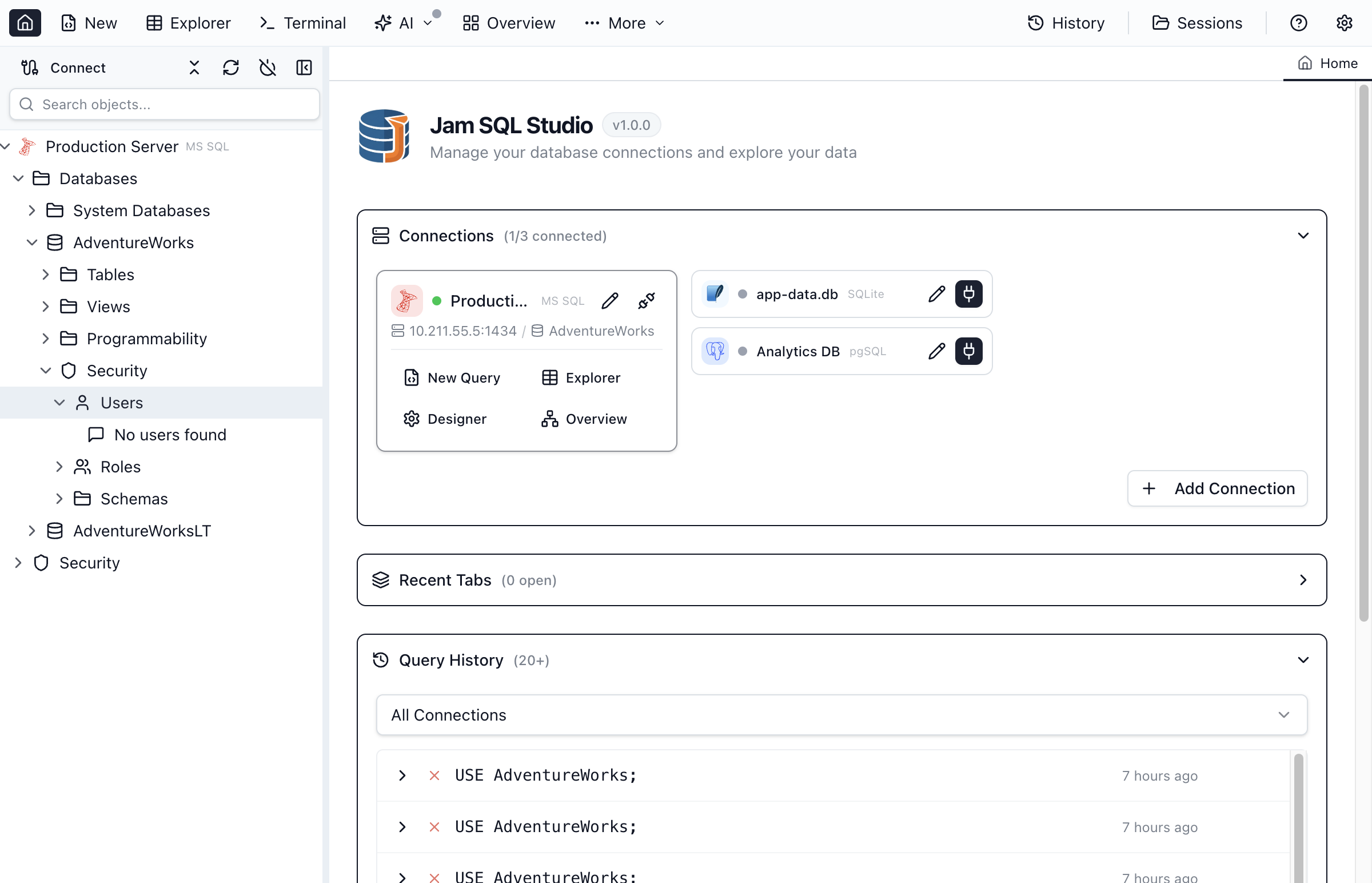 Database users showing mapped logins and role memberships.