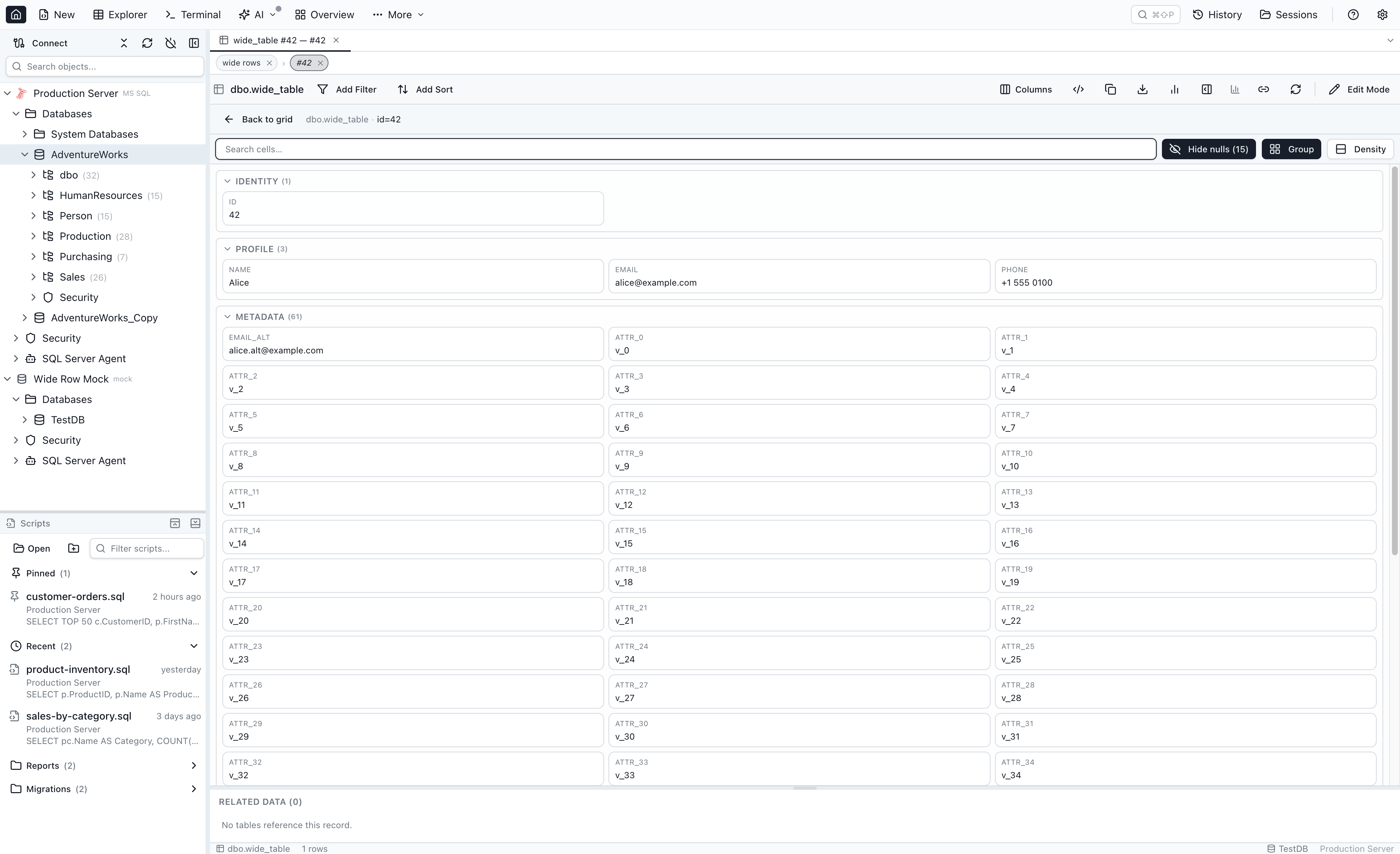 Single-Row Details View on a row with 60+ columns, showing the bounded row-details panel with cell-name fuzzy search and Hide nulls active, and the Related Data header still visible below