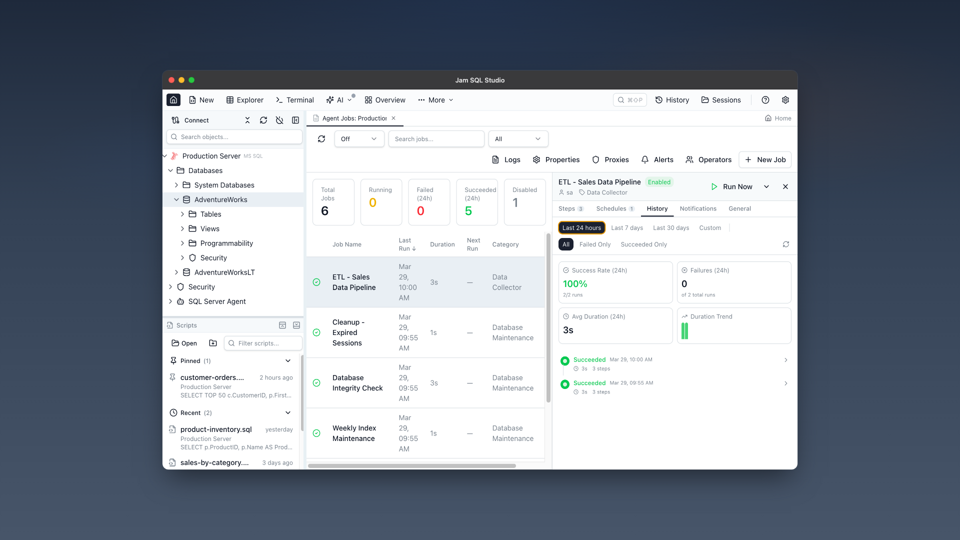 Job history timeline showing execution runs with success and failure status, duration, and step-level details